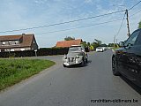 Zandlemig Vlaanderen